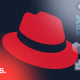 logos LXD, IBM PowerVM, Proxmox y Red Hat OpenShift vs. VMware ESXi